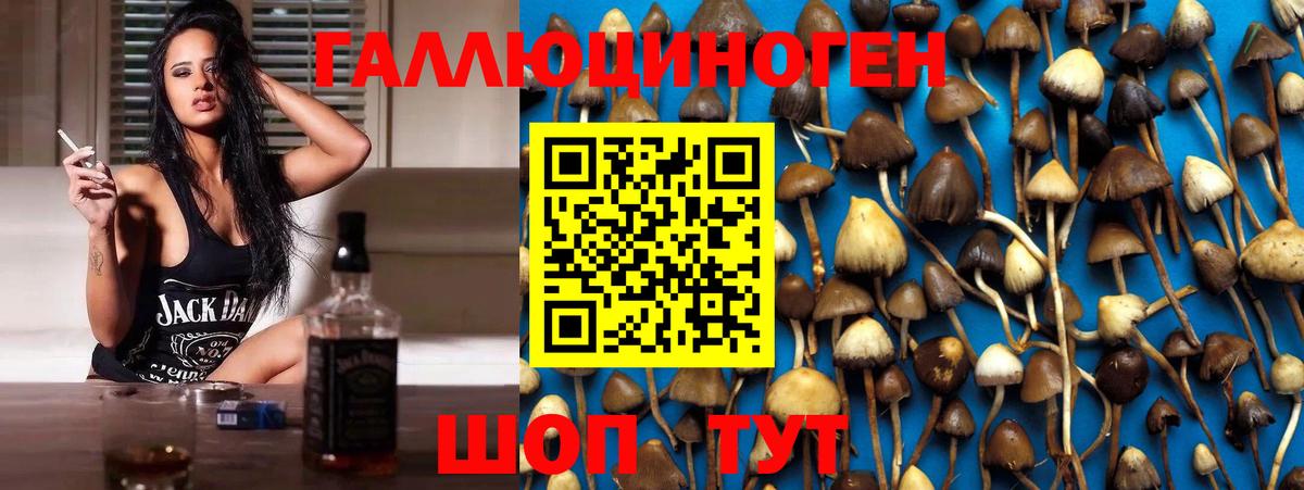 Псилоцибиновые грибы прущие грибы Благодарный
