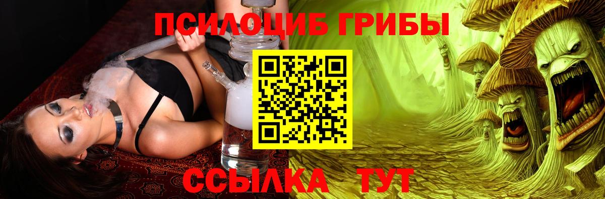 Галлюциногенные грибы Psilocybe  Галлюциногенные грибы Psilocybe  Благодарный  Вход с VPN 